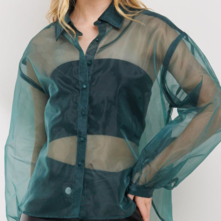 Organza top